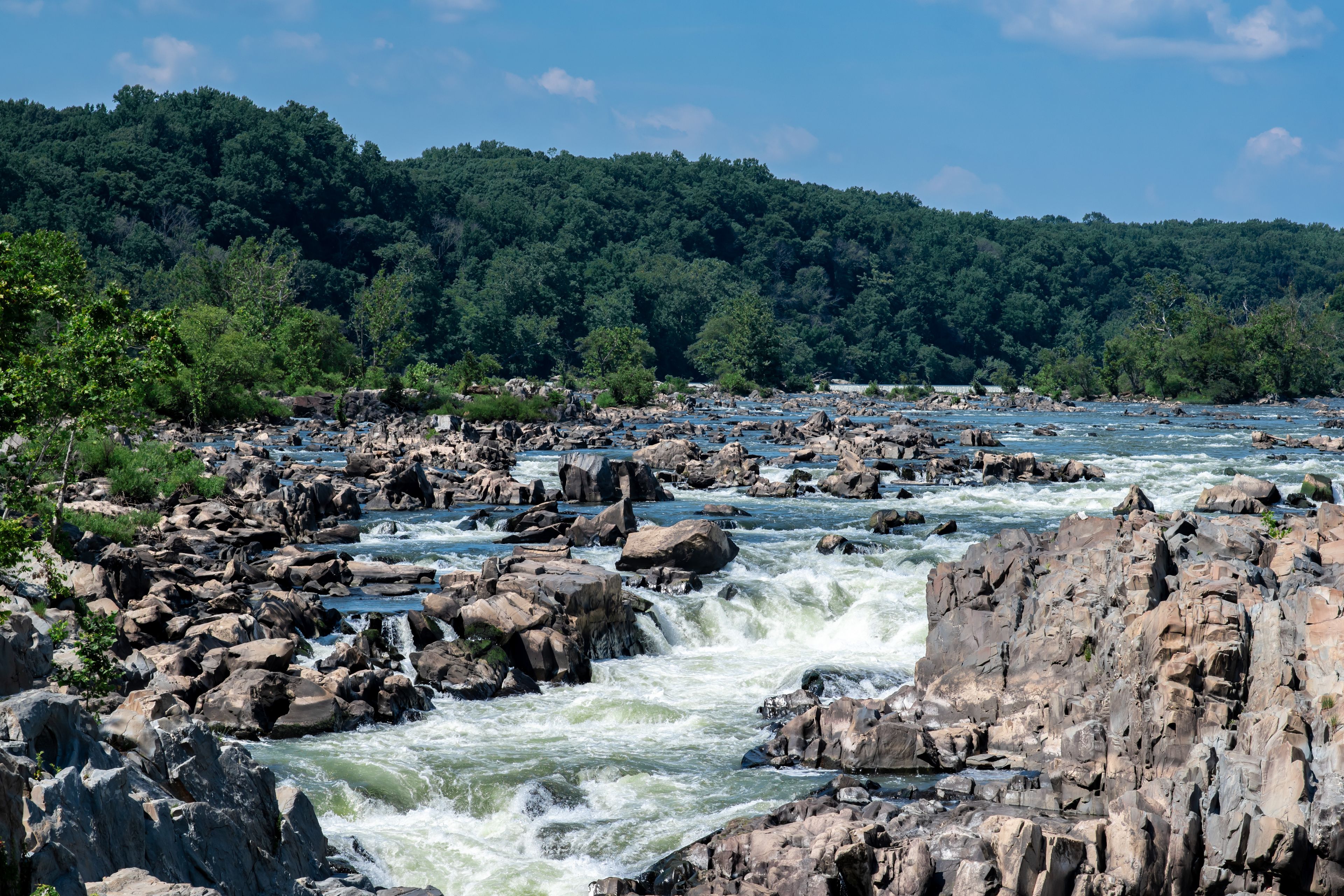A river with rapids flowing through a rocky landscape, surrounded by dense green forest.