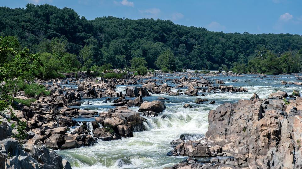A river with rapids flowing through a rocky landscape, surrounded by dense green forest.