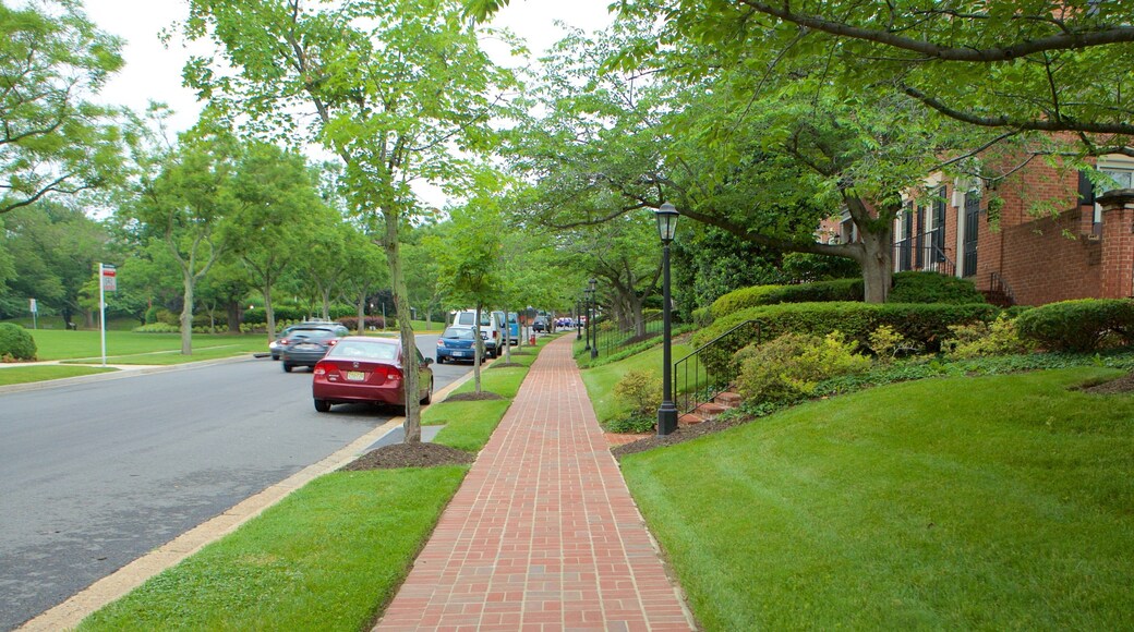 Fairfax ofreciendo escenas urbanas y un jardín
