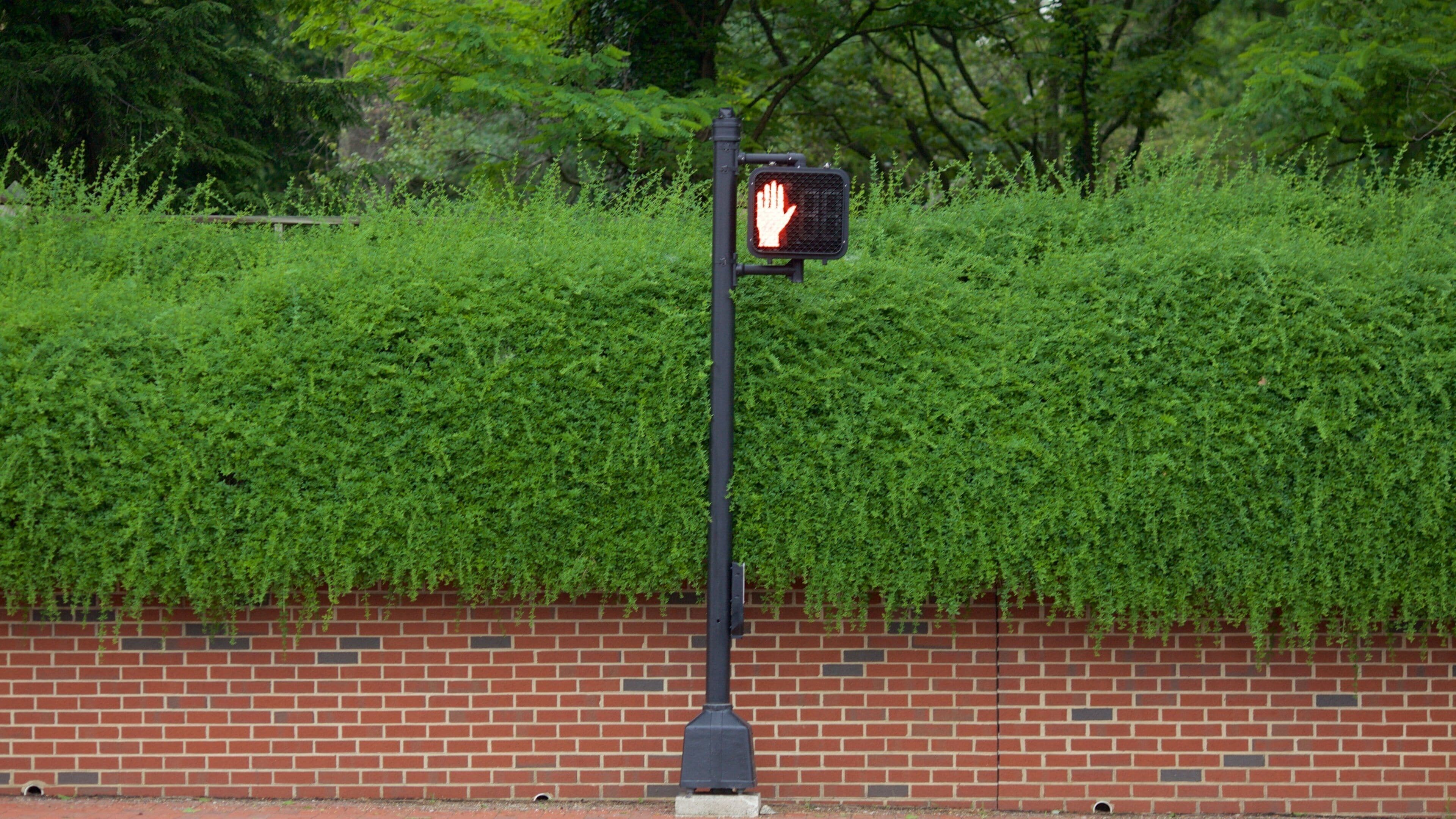 Fairfax qui includes jardin et signalisation