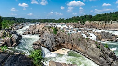 Um rio com diversas corredeiras e cascatas, cercado por terreno rochoso e vegetação densa.