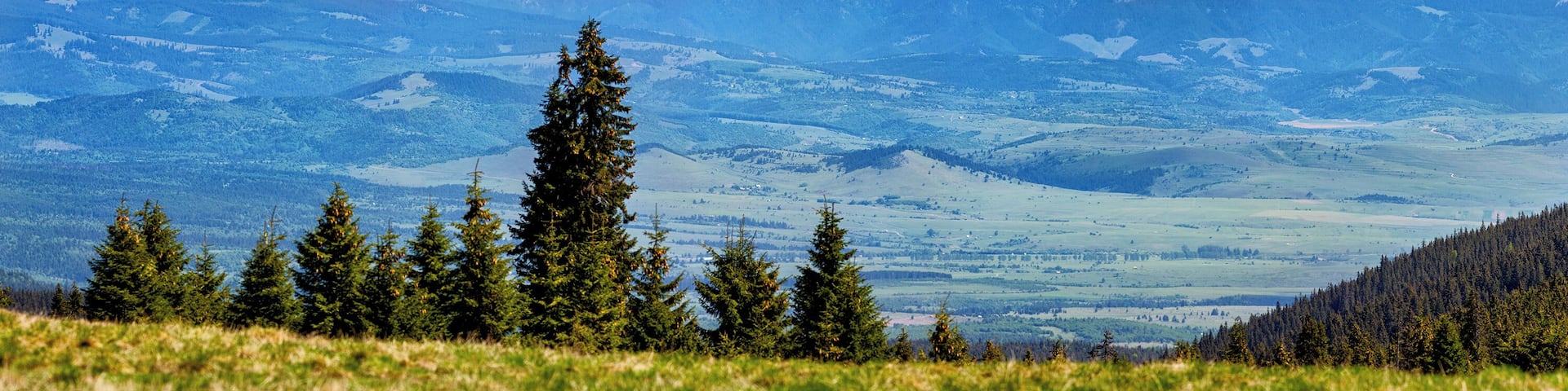 #AboveItAll
#Transylvania
The Harghita Mountains is a volcanic mountain range located in Transylvania. It is part of the Inner Eastern Carpathians. This mountain range is the largest andesite mass in Europe. The tallest peak is the Madarasi Hargita (Harghita-Mădăraș) reaching 1801 metres above sea level.