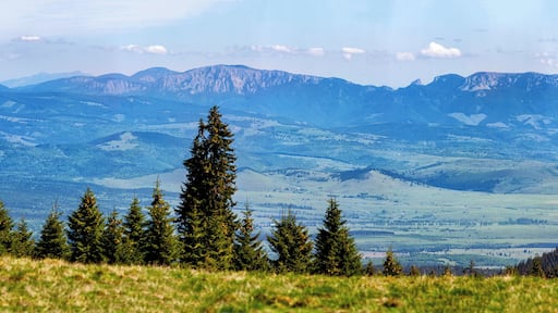 #AboveItAll
#Transylvania
The Harghita Mountains is a volcanic mountain range located in Transylvania. It is part of the Inner Eastern Carpathians. This mountain range is the largest andesite mass in Europe. The tallest peak is the Madarasi Hargita (Harghita-Mădăraș) reaching 1801 metres above sea level.