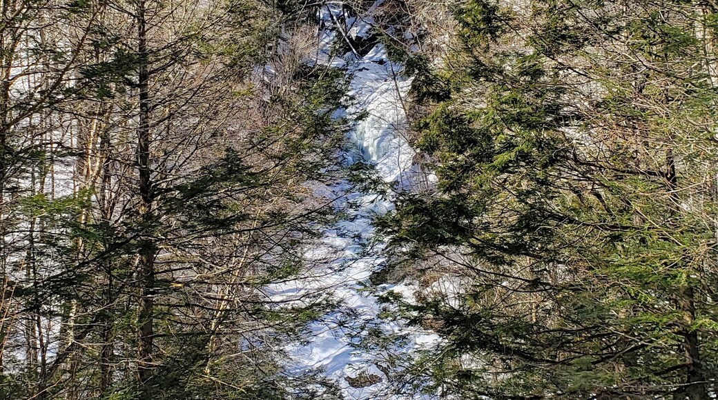 Frozen Sanderson Brook Falls in Chester blandford state Forest