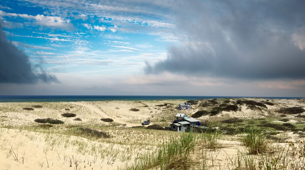 Cape Cod National Seashore Blue Sky and Sunny Day