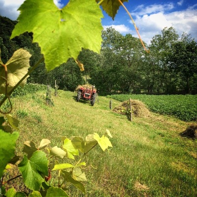 Experience Romanian rural life in it's purest form by visiting the small farming community of Sinca Noua. There are few modern tools used and it feels like a giant step back in time.
Arranged through villagelife.ro, we stayed with a local family for four days. We helped in the fields, learned how to make traditional dishes, even took in a music recital and local church festivities. The hosts knew little English but that added to the charm and we were able to pick up some Romanian.
This is an impressive initiative to bring tourism to rural areas, and one that we can't rave about enough! Considering today's issues of overtourism especially - as travelers we should be frequenting the road less traveled.
#TroverRT