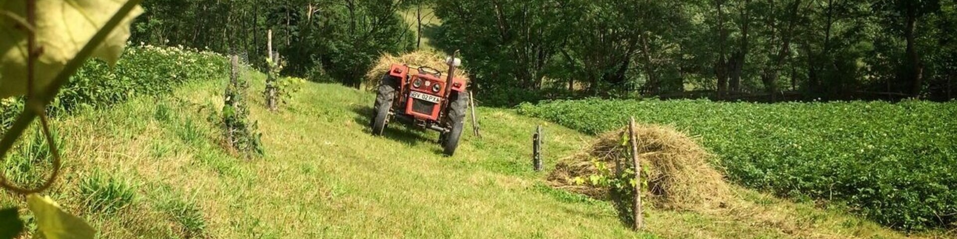 Experience Romanian rural life in it's purest form by visiting the small farming community of Sinca Noua. There are few modern tools used and it feels like a giant step back in time.
Arranged through villagelife.ro, we stayed with a local family for four days. We helped in the fields, learned how to make traditional dishes, even took in a music recital and local church festivities. The hosts knew little English but that added to the charm and we were able to pick up some Romanian.
This is an impressive initiative to bring tourism to rural areas, and one that we can't rave about enough! Considering today's issues of overtourism especially - as travelers we should be frequenting the road less traveled.
#TroverRT