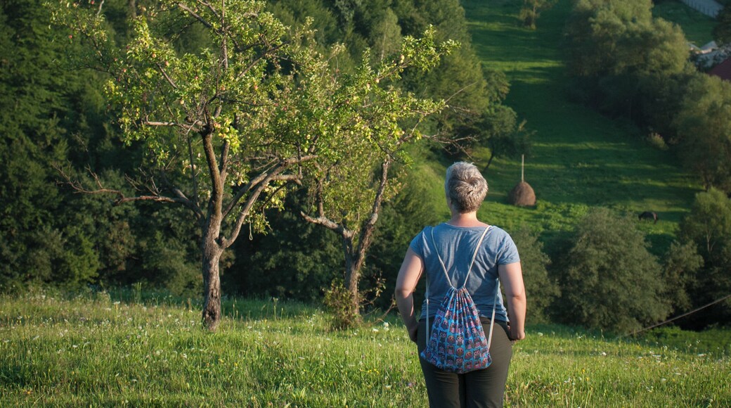 One of cutest villages I've ever visited in my home country!
Very friendly and welcoming people, mellow hills, and the occasional fluffy watchdog.
#green #endlesssummer #GreatOutdoors
P.S. When Romania turns 100 (in Romanian)--
https://bit.ly/2UItpB5