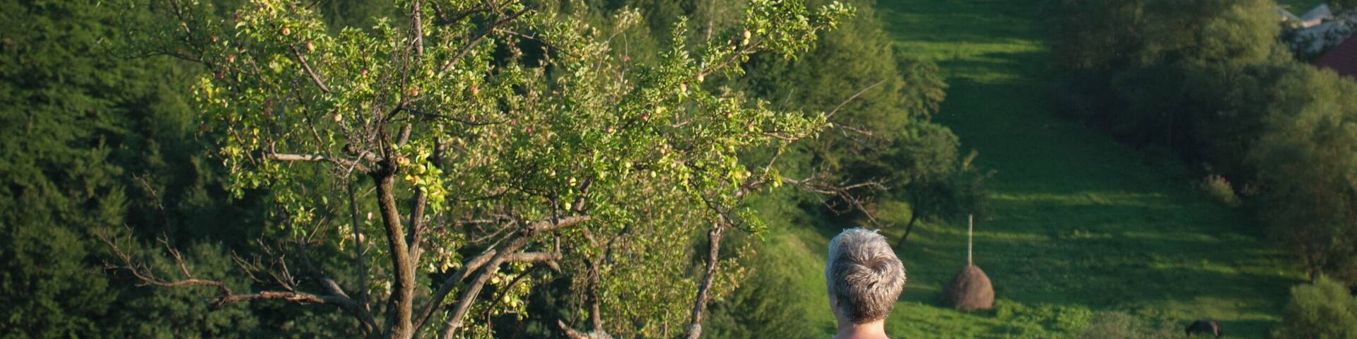 One of cutest villages I've ever visited in my home country!
Very friendly and welcoming people, mellow hills, and the occasional fluffy watchdog.
#green #endlesssummer #GreatOutdoors
P.S. When Romania turns 100 (in Romanian)--
https://bit.ly/2UItpB5