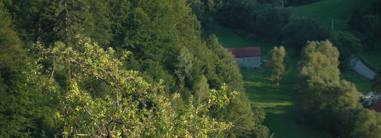 One of cutest villages I've ever visited in my home country!
Very friendly and welcoming people, mellow hills, and the occasional fluffy watchdog.
#green #endlesssummer #GreatOutdoors
P.S. When Romania turns 100 (in Romanian)--
https://bit.ly/2UItpB5