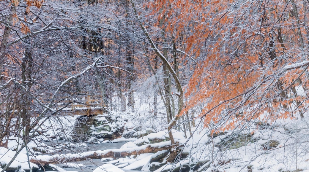 Nice lake, gorgeous all year long.