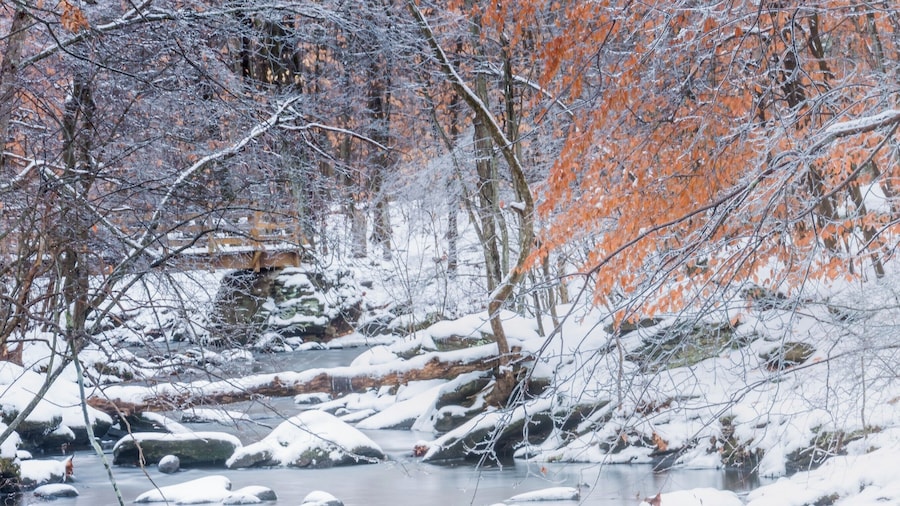 Nice lake, gorgeous all year long.