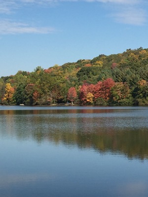 Mohegan Lake Park