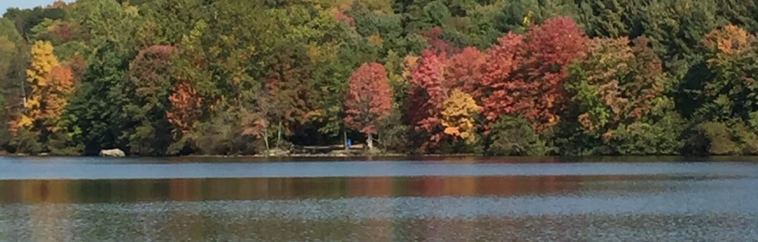 Mohegan Lake Park