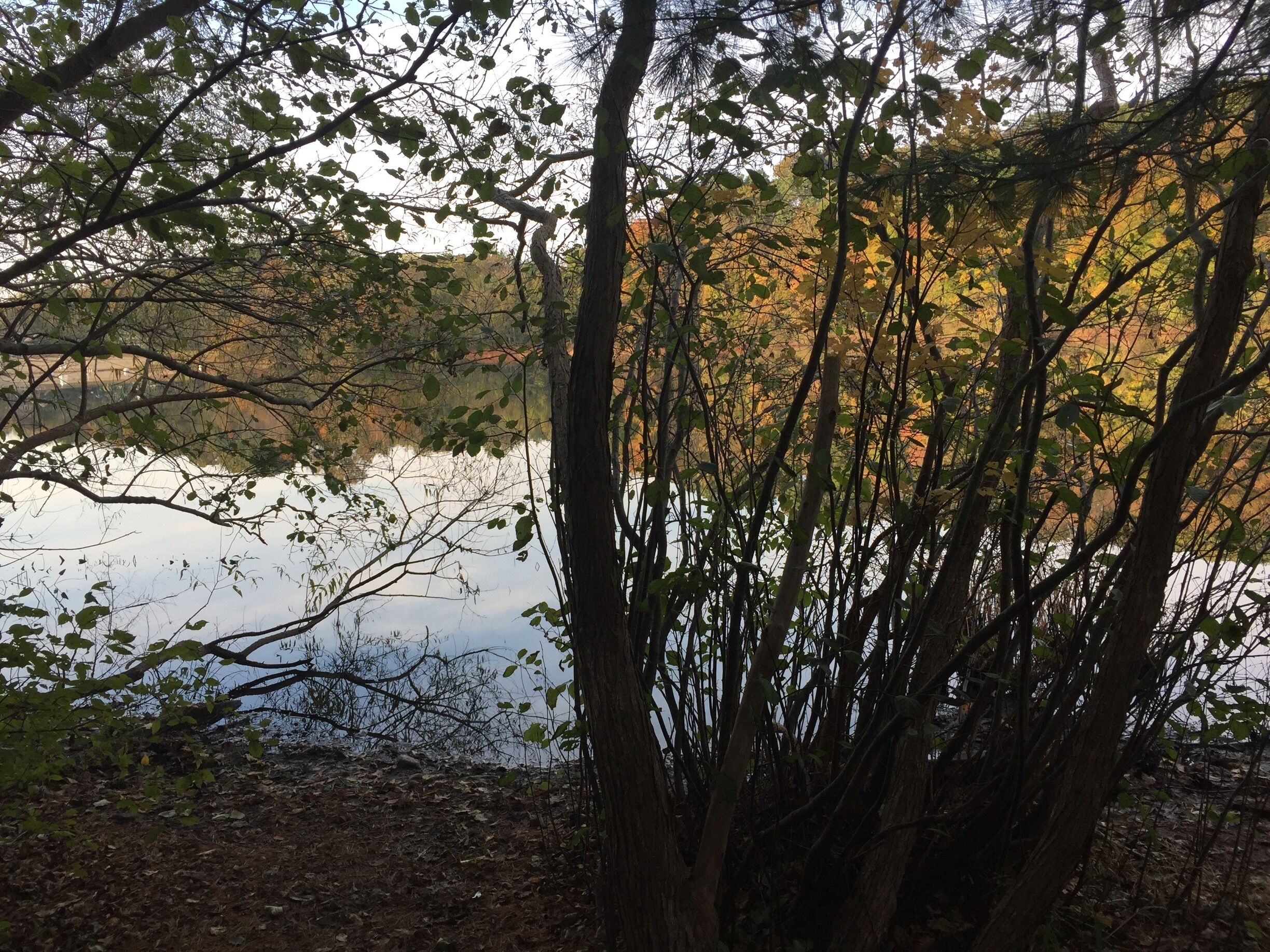 Meditative trailing on Sunday morning 