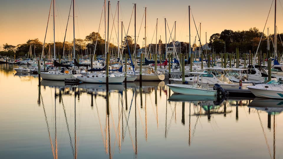 A marina with multiple sailboats docked at sunset.