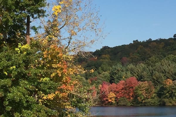Mohegan Lake