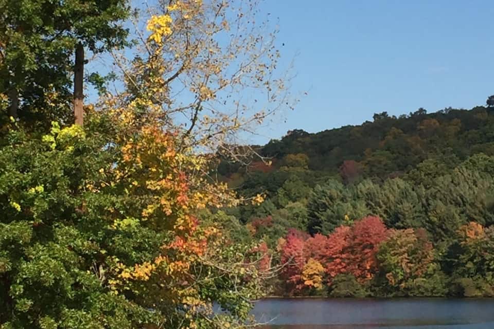 A lake surrounded by trees with autumn foliage, a clear sky, and a hilly landscape in the background.