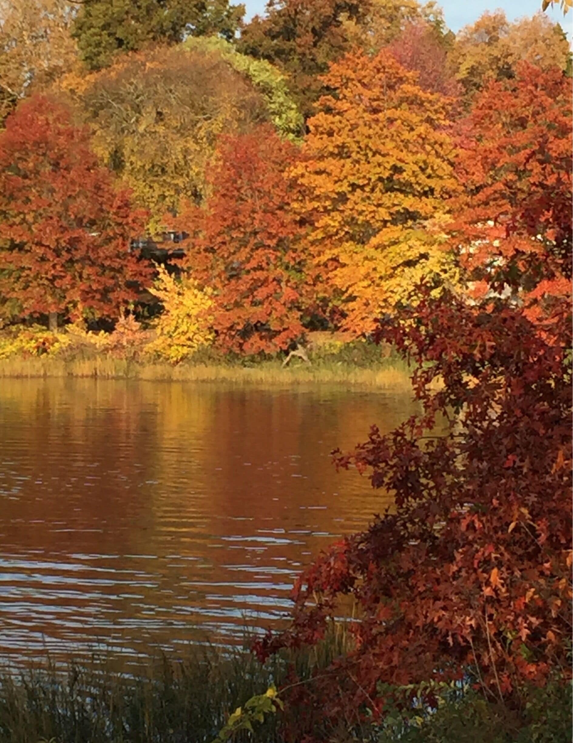 Autumnal promenade by The Creek