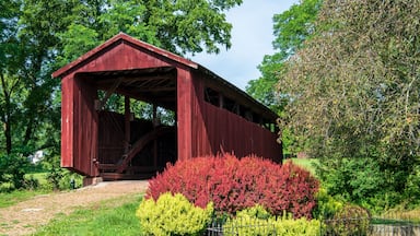 John Bright #2 Covered Bridge in Fairfield County, Ohio