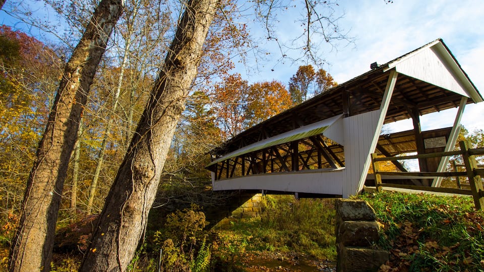 A wooden bridge in a forest with autumn leaves.