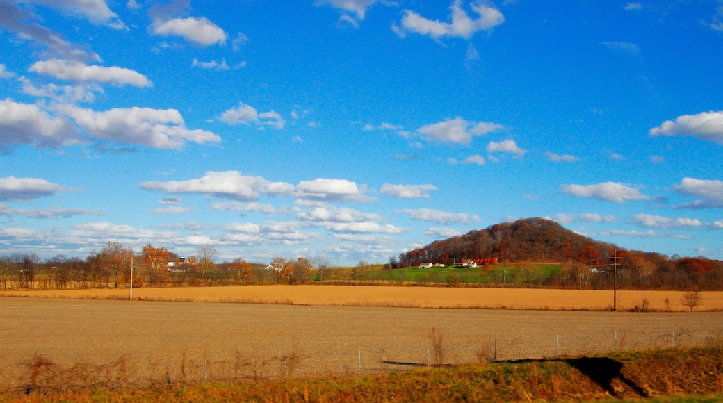 Beck's Knob in Autumn, Fairfield County, Ohio