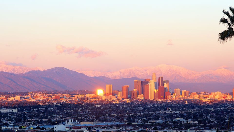 A city skyline with mountains in the background and palm trees in the foreground.