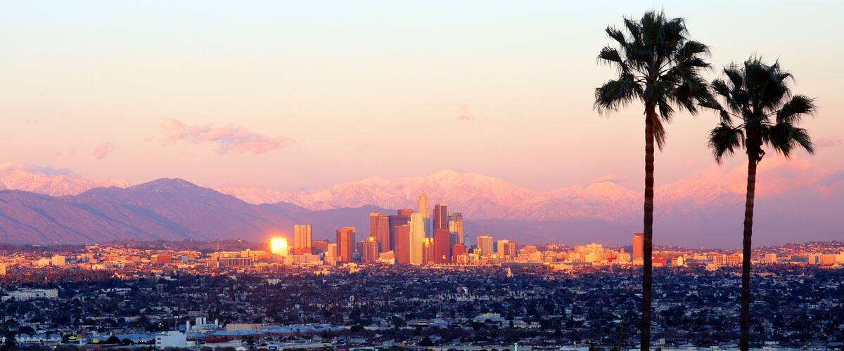 A city skyline with mountains in the background and palm trees in the foreground.