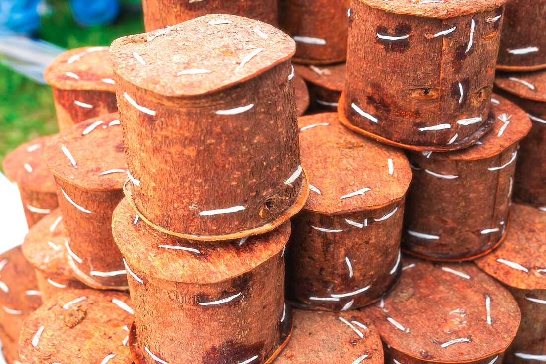 Inside this wrap of Pine Bark is Burduf (Pine Bark cheese).  A tasty cheese that melts in your mouth.  A must try when in Romania.