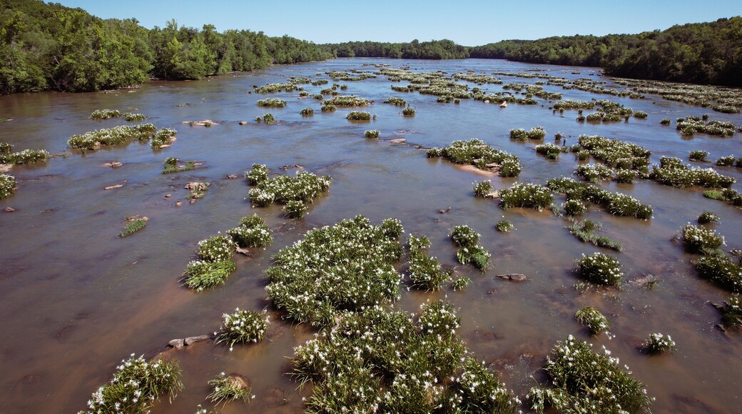 ถนนยอร์ค