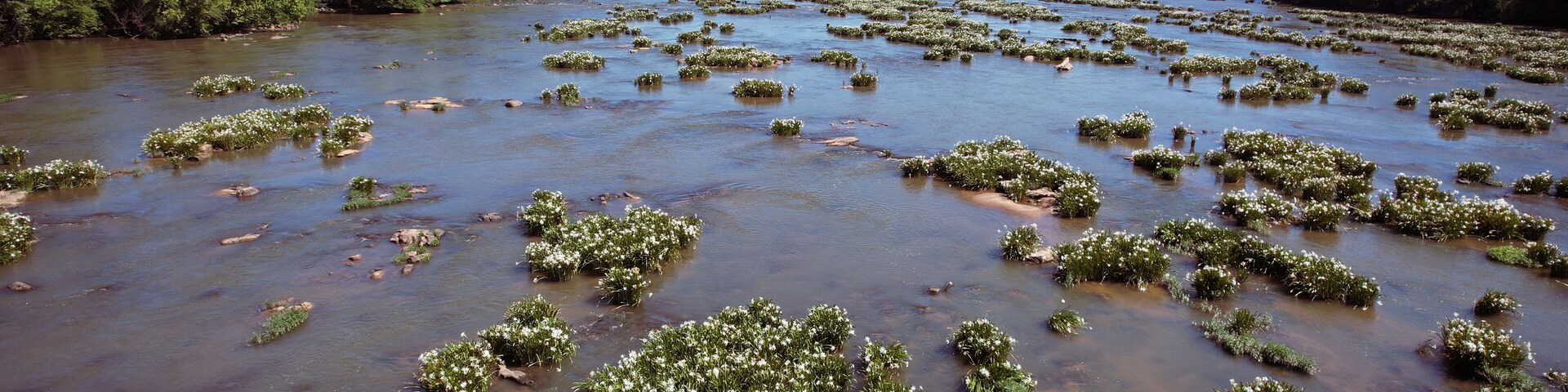 Red rock butte and scrub growth near Sedona, AZ