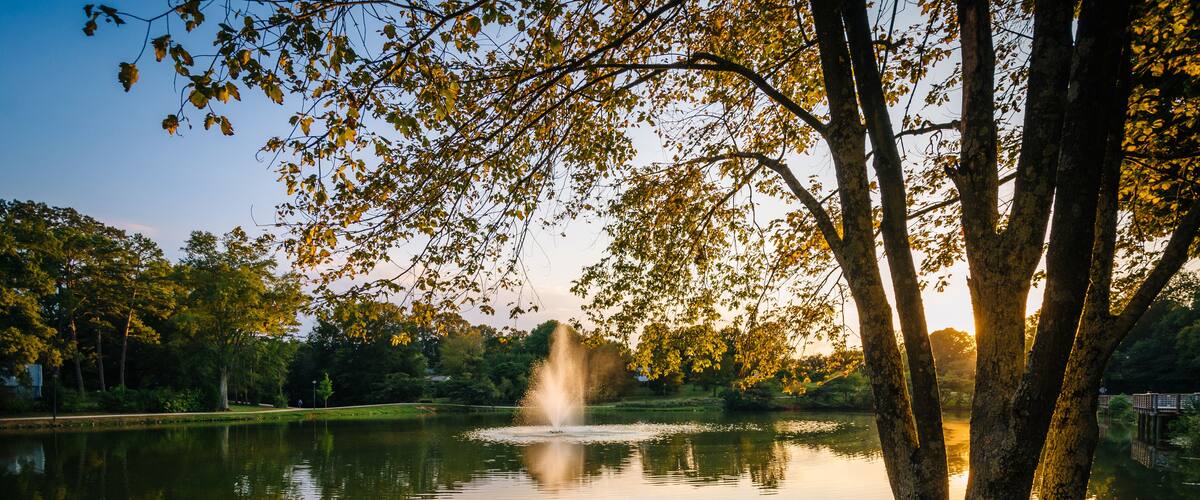 Fountain and pond at Roosevelt Wilson Park at sunset, in Davidso