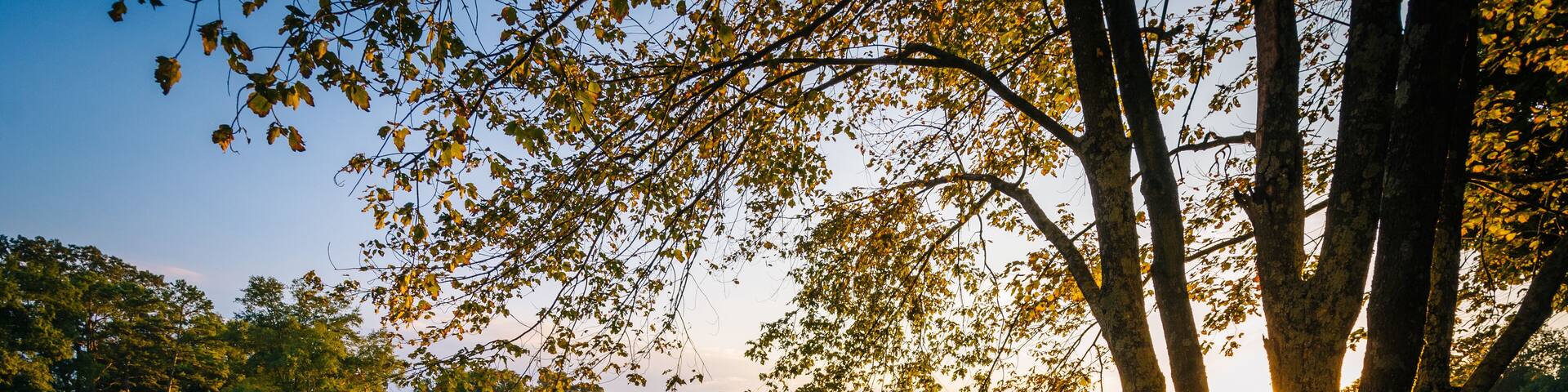 Fountain and pond at Roosevelt Wilson Park at sunset, in Davidso