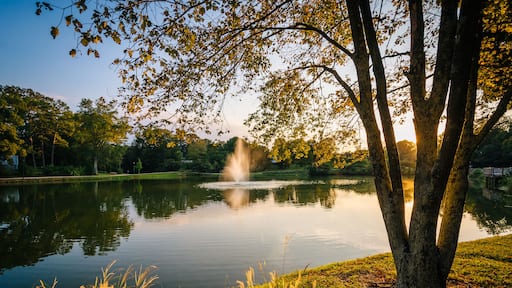Un lago tranquilo con una fuente, rodeado de árboles y césped.