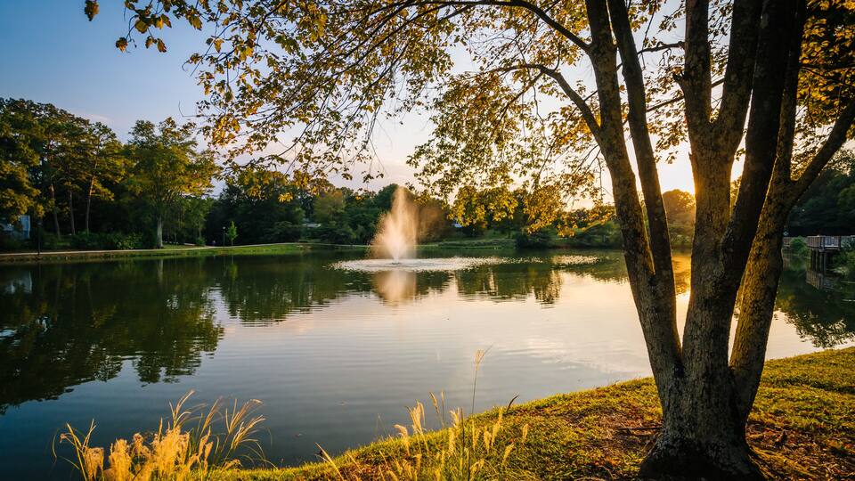 A calm lake with a fountain, surrounded by trees and grass.