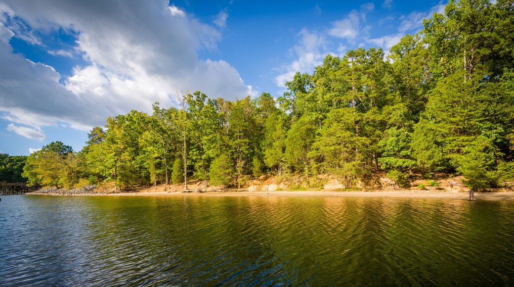 Lake Wylie, at McDowell Nature Preserve, in Charlotte, North Car