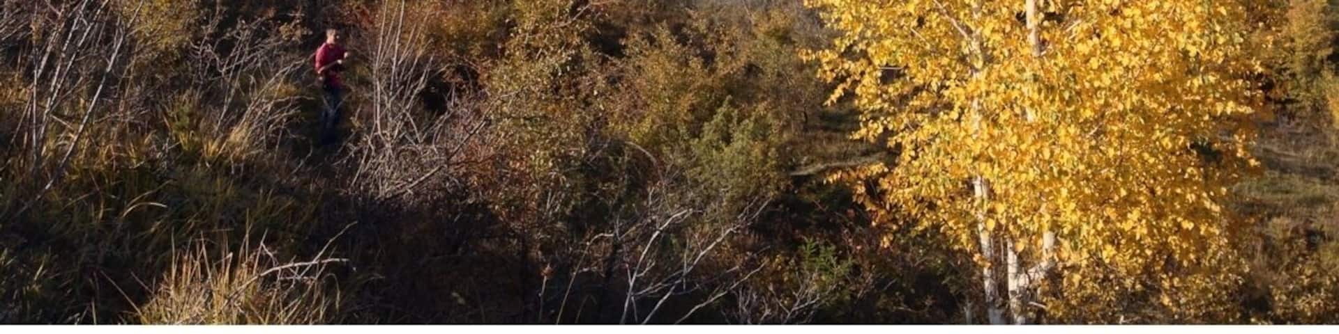 Autumn in a small mountain village in Romania. Breathtaking in my humble opinion...