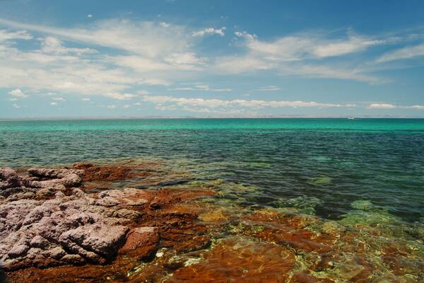El Caimancito Beach la paz baja california sur. MEXICO