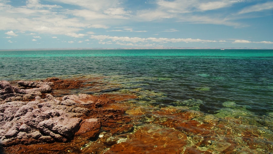 El Caimancito Beach la paz baja california sur. MEXICO