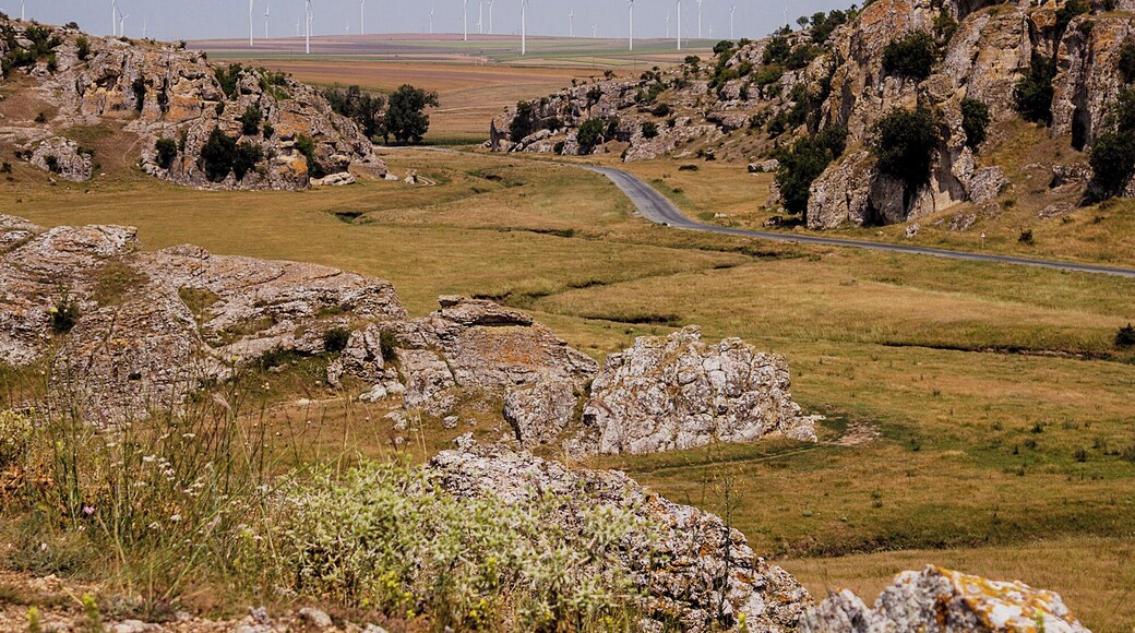 Dobrogea Gorges Reserve, great place for a hike or a ride. This canyon is at about 40 km from the Black Sea. The rocks are former coral reefs from the ancient Tethys ocean. A perfect place for night photography.