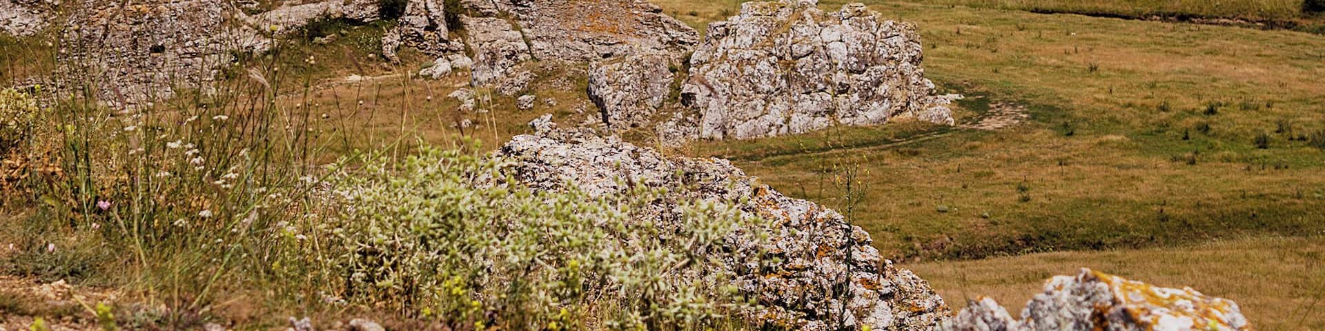 Dobrogea Gorges Reserve, great place for a hike or a ride. This canyon is at about 40 km from the Black Sea. The rocks are former coral reefs from the ancient Tethys ocean. A perfect place for night photography.