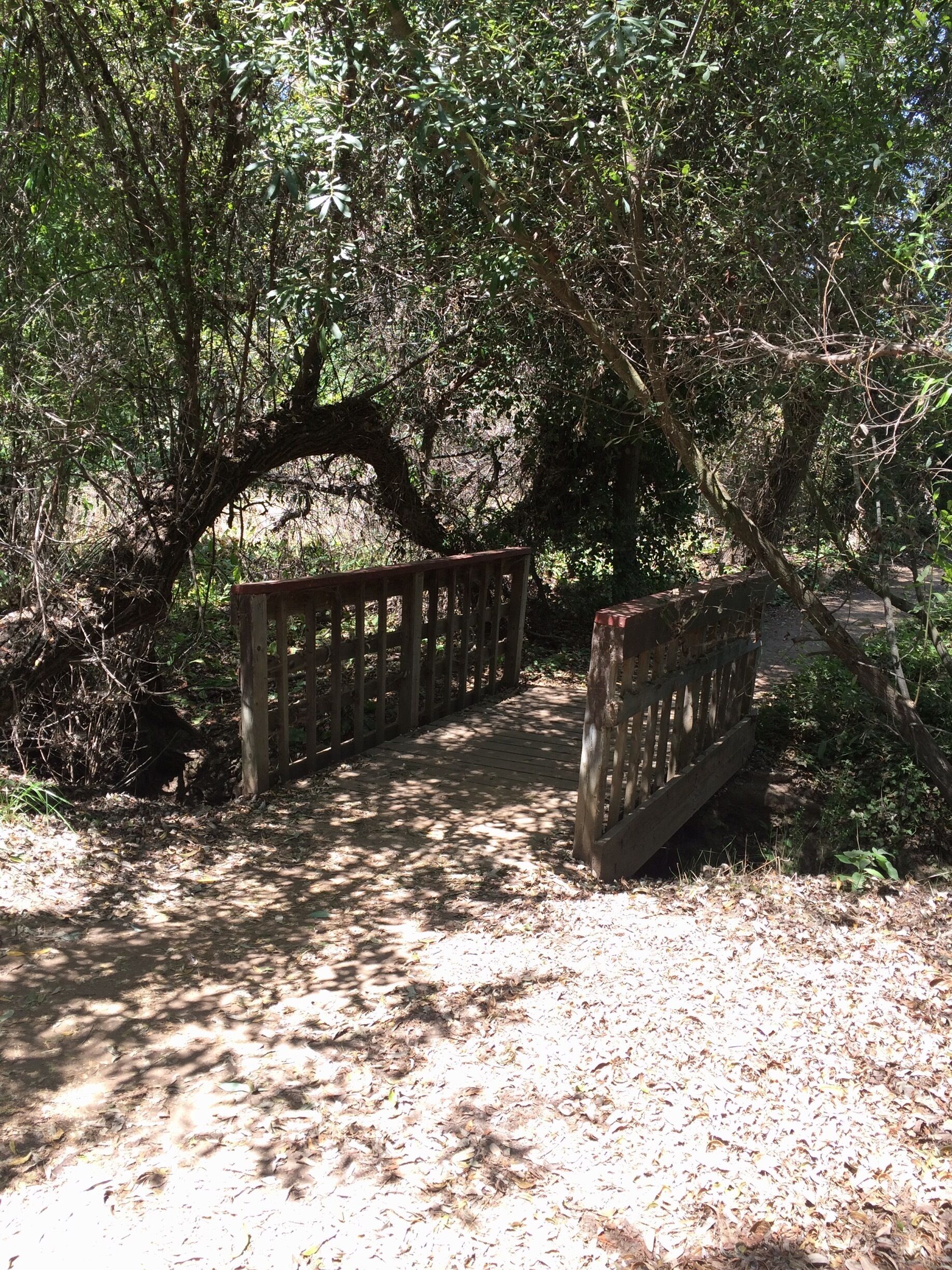 Nice little preserve about a 1.5 mile loop. We saw a few birds and lots of butterflies. Dirt path and wooden walk ways. Easy hike. #hiking #nature 
