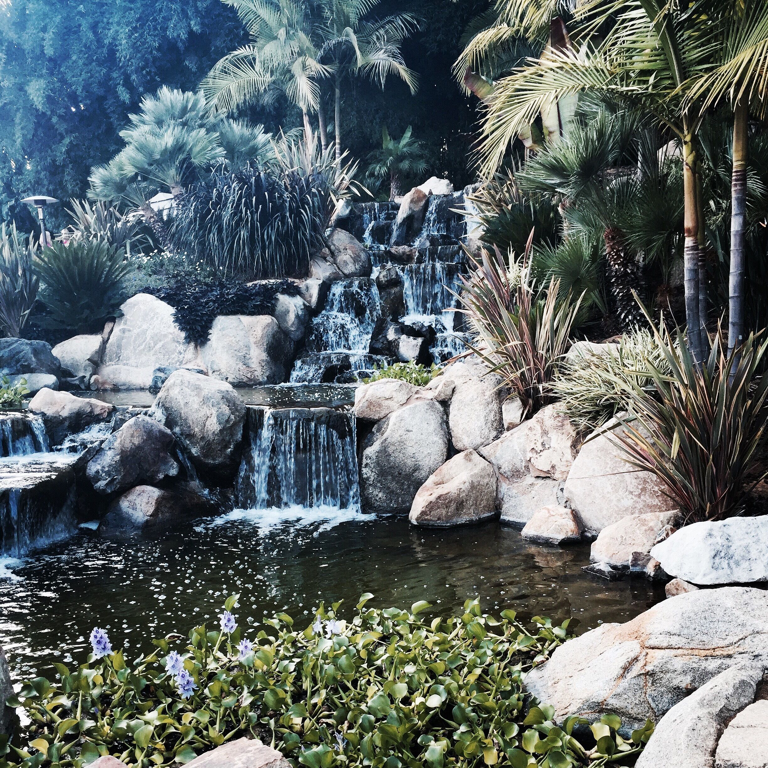 Waterfall by the Orchid bar at the special events venue in Fallbrook CA  we were there for a Jazz concert  beautiful tropical grounds, also as a heart shaped lake! Popular for weddings