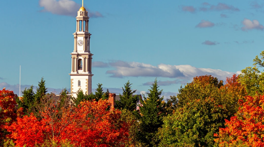 A scenic view of Frederick on a sunny afternoon in fall. The tallest building in city (bell tower of St. John the Evangelist Catholic Church) towers above trees in autumn colors.