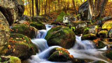 Waterfalls on Stauton River in Bear Church Rock trail in shenandoah national park
