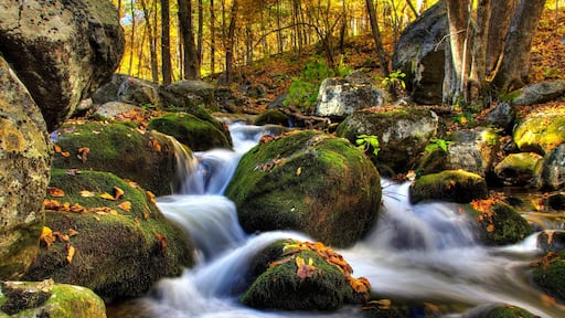 Waterfalls on Stauton River in Bear Church Rock trail in shenandoah national park