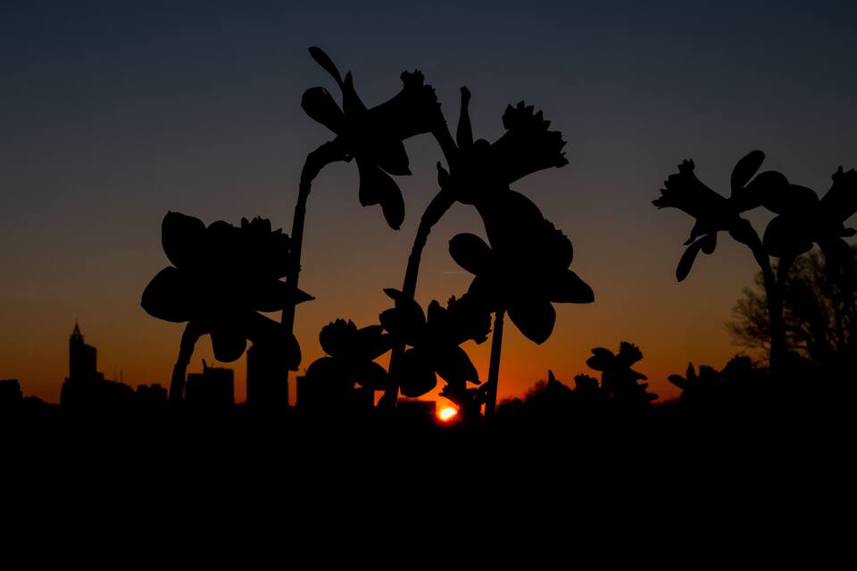 Silhouet van een stadshemel bij zonsondergang, met opvallende gebouwen en een heldere lucht.