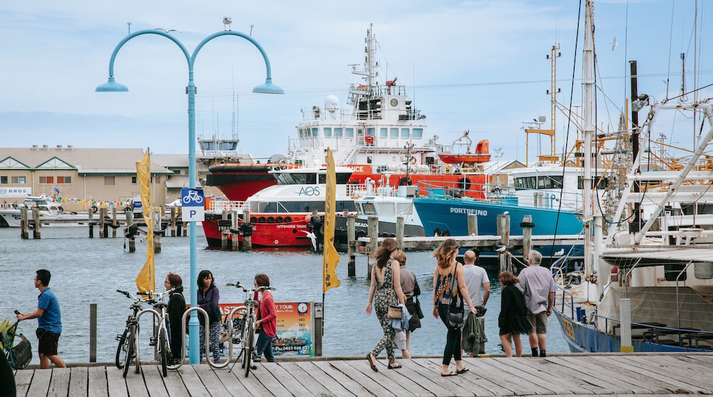 Fremantle featuring a bay or harbor