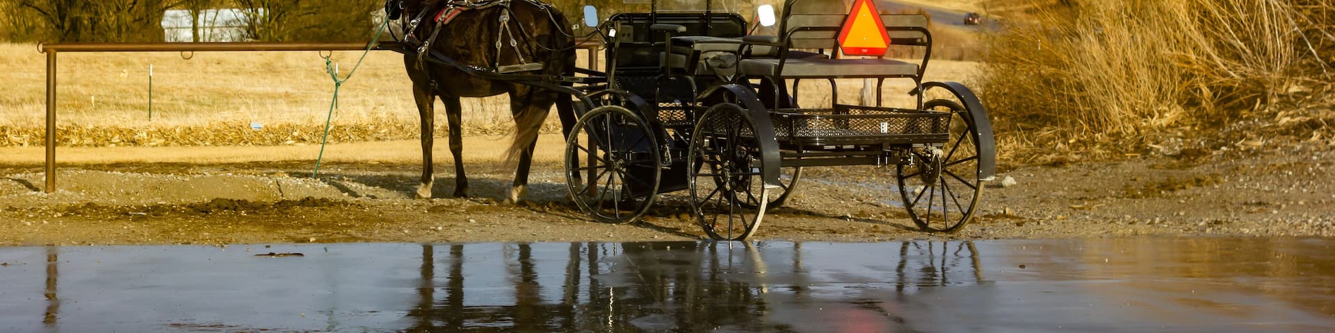 A horse-drawn carriage by a body of water with a cloudy sky.