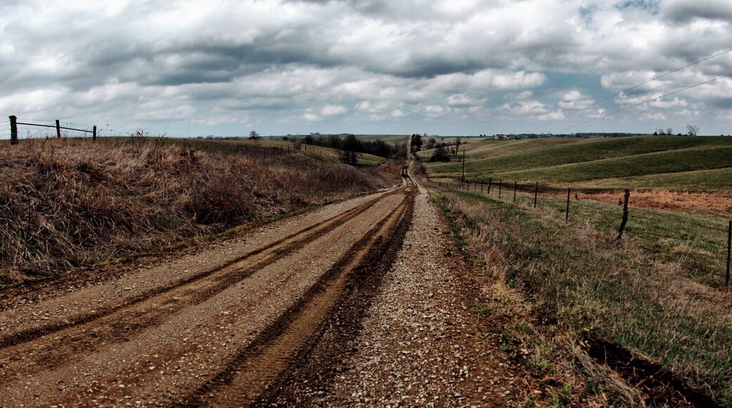 When I think road trip I think Bob Seger. A Harley driving down a straight road that seems to go all the way to the horizon. Peaks seem to dot the horizon beckoning you to come climb them. You may be alone or you may be riding with your closest friends. Friends you have had since highschool. This is the time you all have dreamed. The air pushes on your chest as you throttle up making your muffler scream. There is no destination only where you have been.
Road trips are the base desire to leave the comfort of your own home and explore something you have only dreamed of. It is a time of growth. A true road trip cannot be planned; it must be experienced as something as wild as your passion. Each day you wake up and look at which direction to goâŠNorth, calling the passions of those who dare the road less traveled, South, Calling for those who want something and untraveled, West, Land of new adventures and sunsets, and East, Where you find you can go back in time and explore your roots.
My road trip took me to Idaho. A state I had only crossed before, but never gave it much credence. A few days before I had met my new cousin, a little girl just was coming into this world. Instead of heading back to my home, 800 miles away, I stowed away my camping gear and made sure I had a loaf of bread and some peanut butter and jelly. I traveled North towards Idaho, a place few have a calling. I wanted to experience what middle America had to offer. To understand what it meant to be American. Expecting cul-de-sacs with 10 year old boys playing street baseball I set off. What I found was far different. As I drove into Idaho I found Amish farmers on wagons, farming equipment sitting in lawns, and American History. Reading historical markers seems to be my thing. I found where Bingham Young called home for a few years, the only battle in Idaho during the Civil War, and a hotel that had the names of every guest for the past 120 years. Each day I woke up with no ambitions or expectations. Just the continuation of where the road would take me. I stopped in at dives trying breakfast in mid afternoon just because. It was an enlightening experience, one that freed me of normal desires during traveling.
http://www.trover.com/d/R5UH-road-bloomfield-iowa
for the story